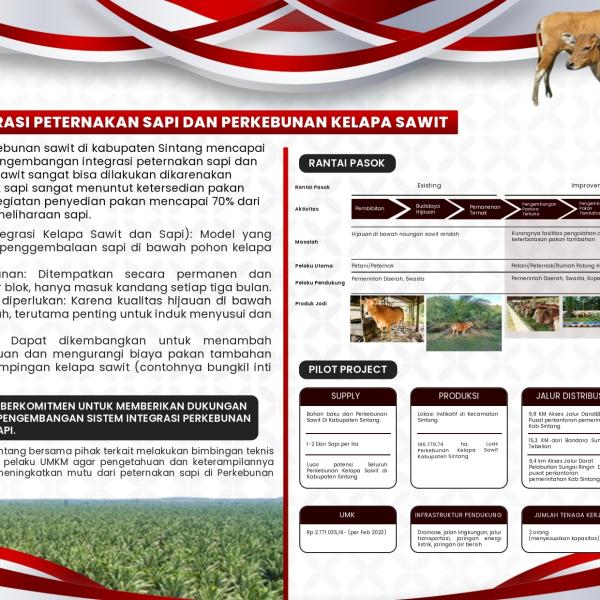 Sapi